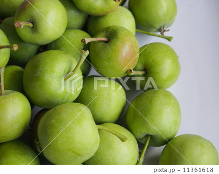 りんご 11361618