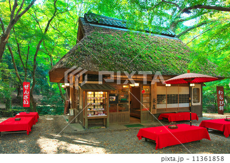 森の茶屋 11361858