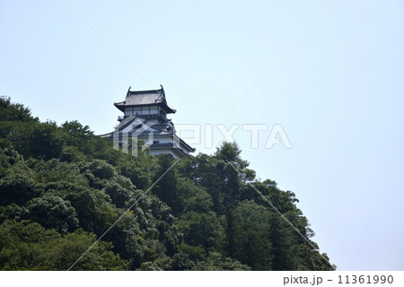 夏の犬山城 11361990
