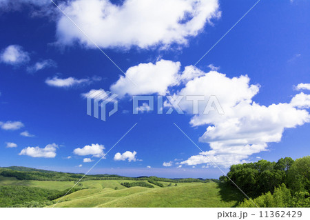 美幌町の草原と雲 11362429