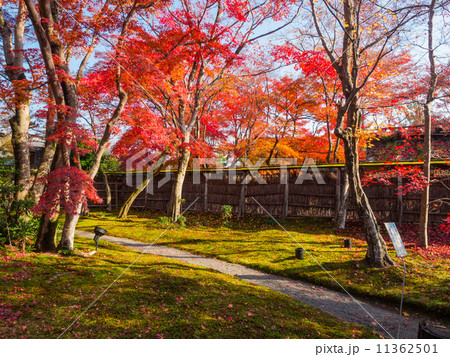 宝厳院 獅子吼の庭 宝厳院 獅子吼の庭 11362501