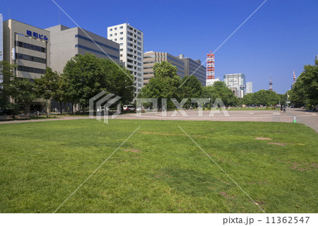 札幌大通り公園 11362547