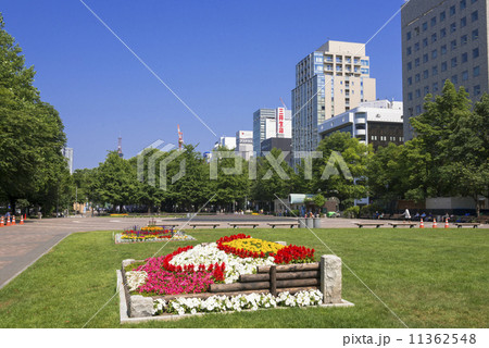 札幌大通り公園 札幌大通り公園 11362548