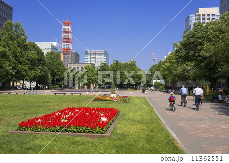 札幌大通り公園 11362551