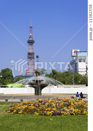 札幌大通り公園 札幌大通り公園 11362556