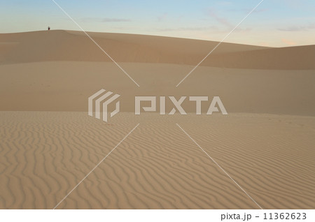 White sand dune. Mui Ne. Vietnam 11362623