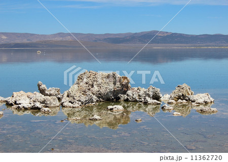 モノ湖 11362720