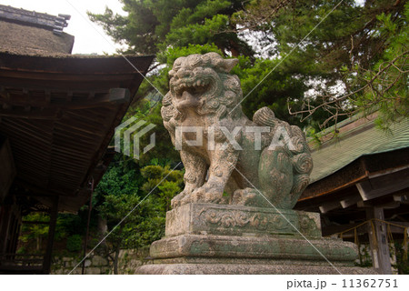 狛犬(白髭神社) 狛犬(白髭神社) 11362751