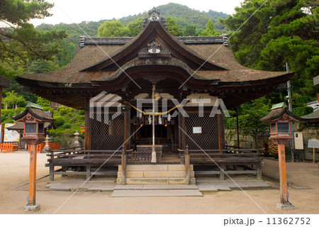 白鬚神社 白鬚神社 11362752