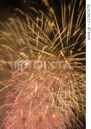 打上げ花火 打上げ花火 11362978
