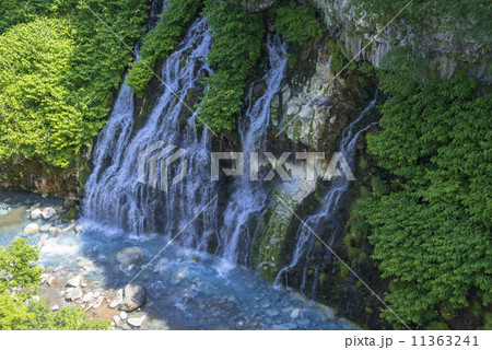 美瑛白金温泉 白ひげの滝 美瑛白金温泉 白ひげの滝 11363241