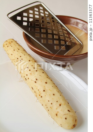 やまいも やまいも 11363377