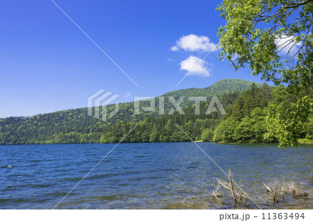 夏の然別湖 夏の然別湖 11363494