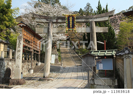 粟田神社 粟田神社 11363618