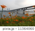 夏の清澤大橋【韓国】 11364060
