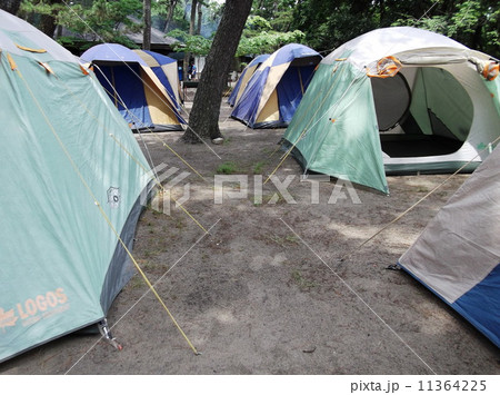 夏のレジャーはやっぱりキャンプ 11364225