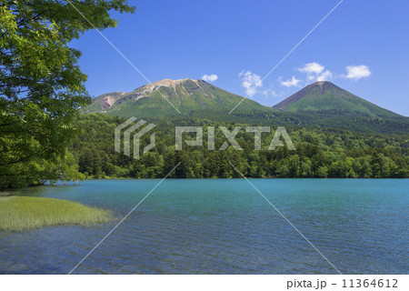 阿寒国立公園のオンネトー 11364612