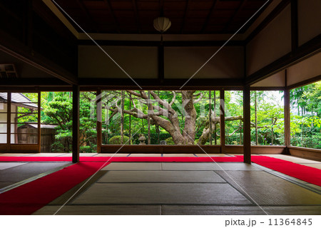 京都 宝泉院 京都 宝泉院 11364845