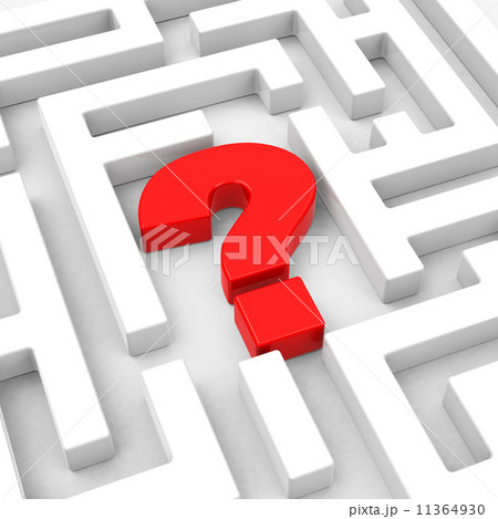 the question 11364930