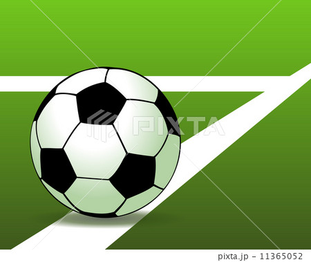 Soccer ball on the green field. Vector illustration 11365052
