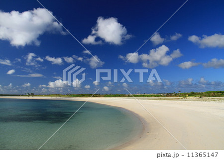 サンセットビーチ 11365147