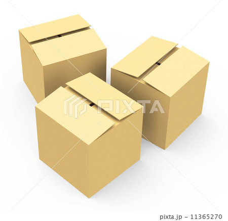 the cardboard boxes 11365270