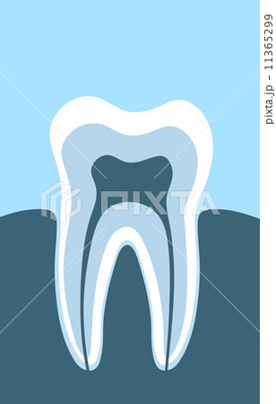 the tooth the tooth 11365299