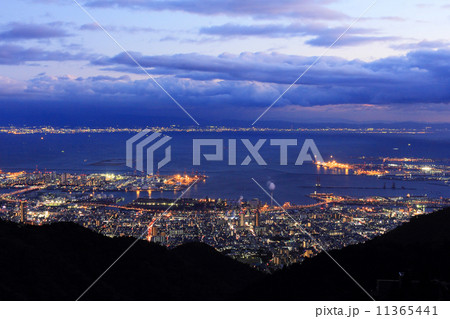 六甲山からの夜景 11365441