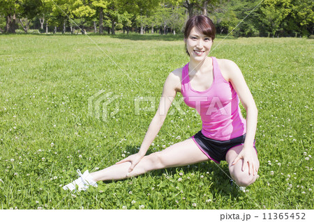 公園でストレッチする女性 公園でストレッチする女性 11365452