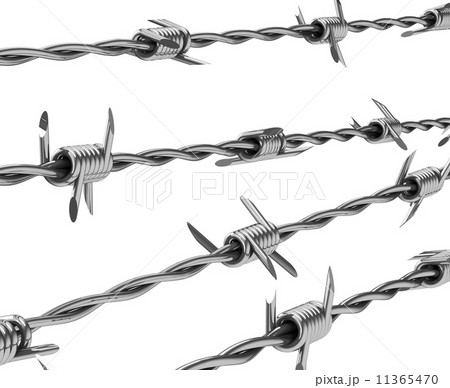 the barbwire 11365470