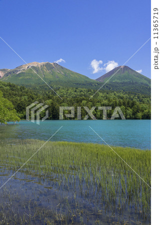 阿寒国立公園のオンネトー 11365719