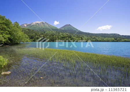 阿寒国立公園のオンネトー 11365721