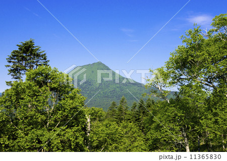 阿寒国立公園　雄阿寒岳 11365830