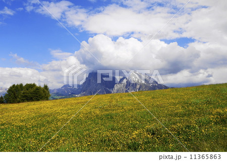 アルぺ・ディ・シウージ Alpe di Siusi ザイザー・アルム Seiser Alm アルぺ・ディ・シウージ Alpe di Siusi ザイザー・アルム Seiser Alm 11365863