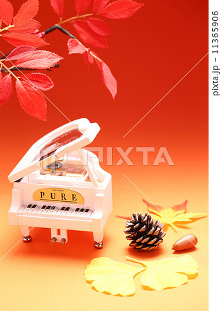 芸術の秋イメージ 11365906