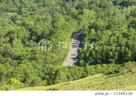 美幌峠より道路 美幌峠より道路 11366136