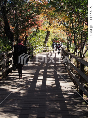 石神井公園 11366351