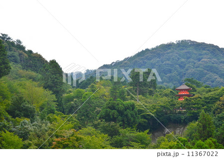 清水寺の「子安塔」（京都市東山区清水） 11367022