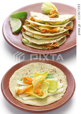 カボチャの花のケサディーヤ 11367393