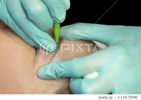 Permanent Makeup Tattoo Permanent Makeup Tattoo 11367996