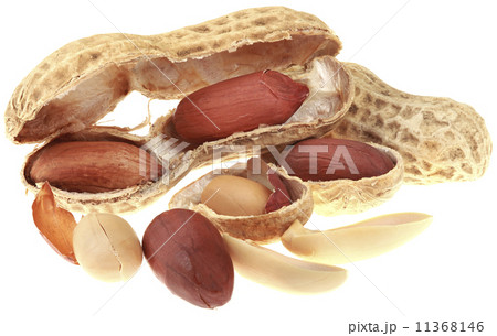 Peanuts Cutout 11368146