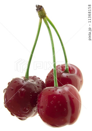 Three sweet cherry cutout Three sweet cherry cutout 11368158