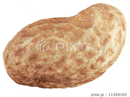 One Peanut Cutout 11368160