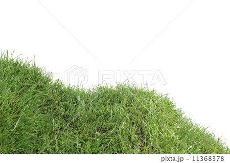 Grassy Down Hill Cutout Grassy Down Hill Cutout 11368378