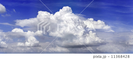 Overcast panorama 11368428