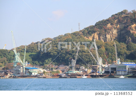 向島 向島 11368552