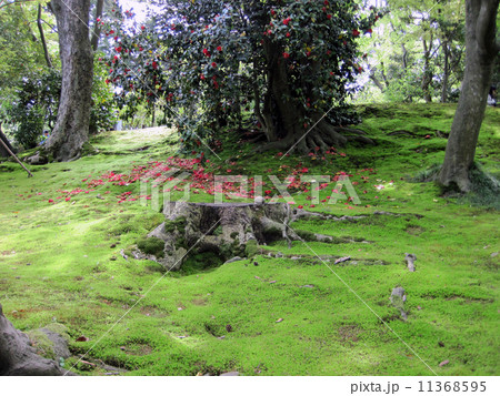 兼六園 兼六園 11368595