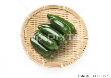 こどもピーマン 11368597