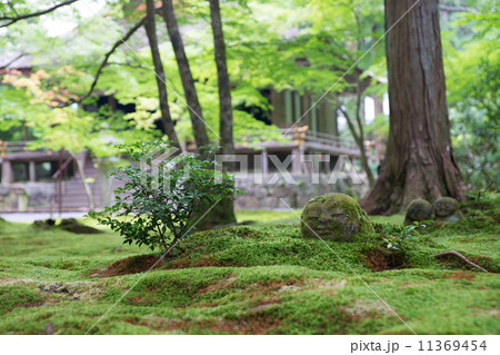 わらべ地蔵 京都 大原 三千院 わらべ地蔵 京都 大原 三千院 11369454