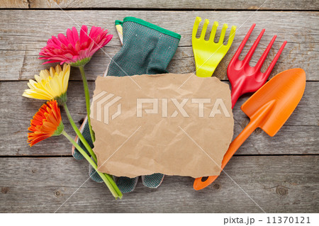 Gardening tools and colorful flowers Gardening tools and colorful flowers 11370121